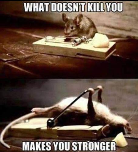 Screenshot_20250408_064628_Gallery