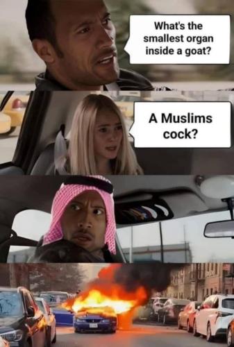 image_0DA352D5-BCF8-4798-B8C2-B13E5EC4C8CA