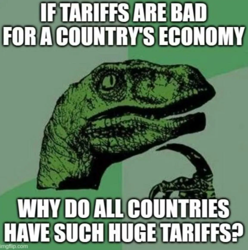 image_2025-04-04_063655787