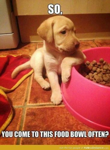 FB_IMG_1745789834455