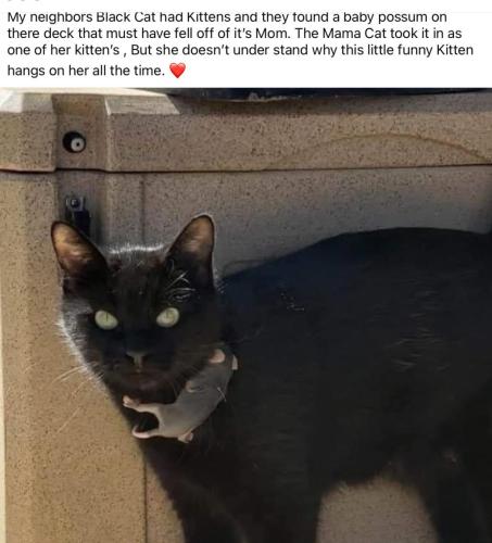 8B4B8908-F3BB-4B42-AFD6-D4C6332689E0