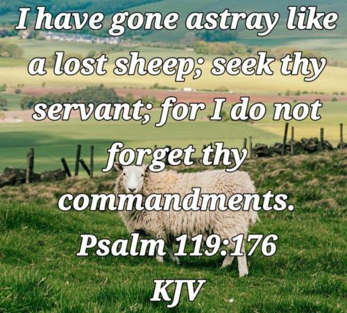 54965a11-a3c7-450c-ae8a-0a712e668bcc