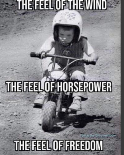 FB_IMG_1744642628880