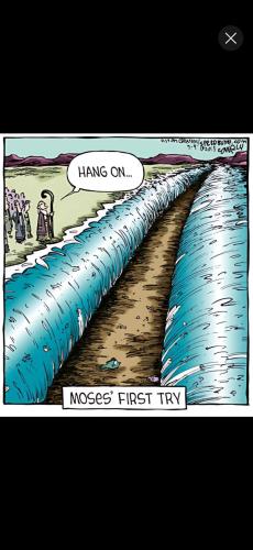 Screenshot_20250426_164724_YouTube