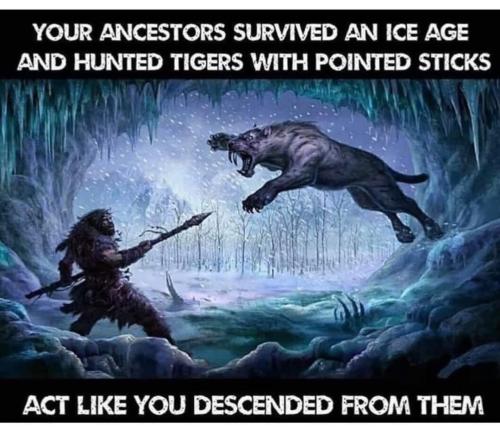 FB_IMG_1744657711904