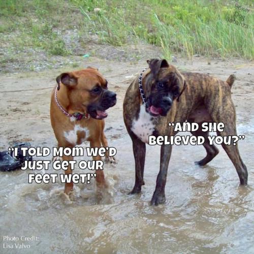 FB_IMG_1744077542140