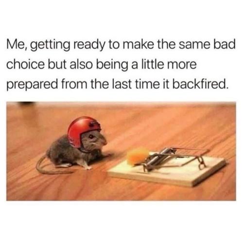 D6D48E3D-EEF5-4E78-A64A-7CFCD4C4649F