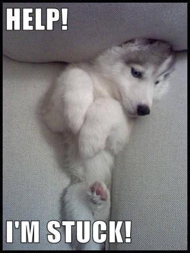 FB_IMG_1744565044563