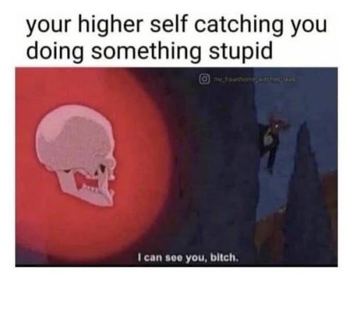 492920889_1228420542005313_2014760100760067261_n