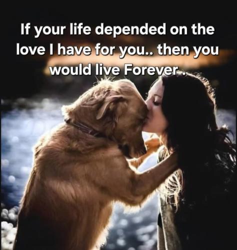 FB_IMG_1744906317185