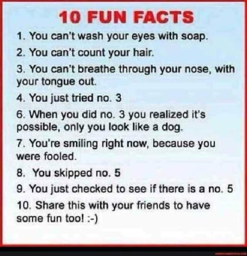 488464566_10017030384975811_8381382247249445967_n