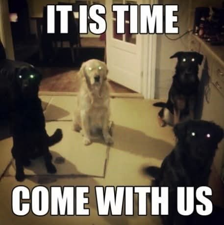 FB_IMG_1745136314581