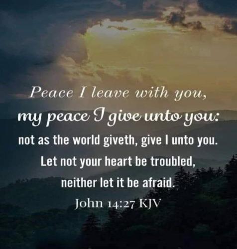 e7a086dd-0259-48a2-bda7-e1d985cd8917