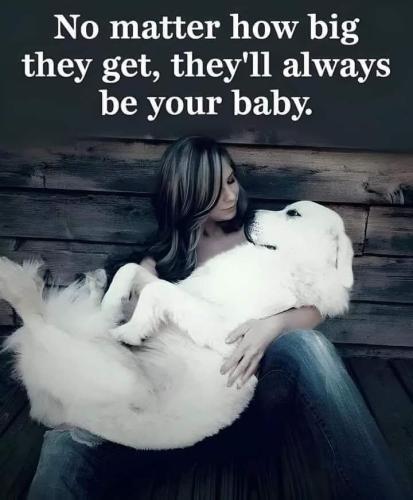 FB_IMG_1745611937011