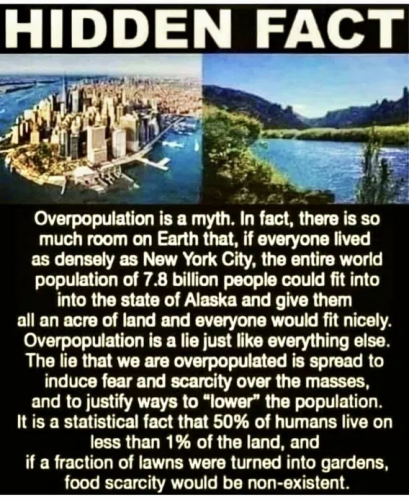 image_2025-04-24_064457291