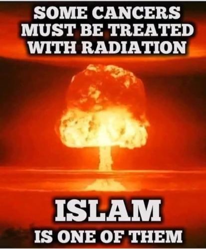 FB_IMG_1743607830782