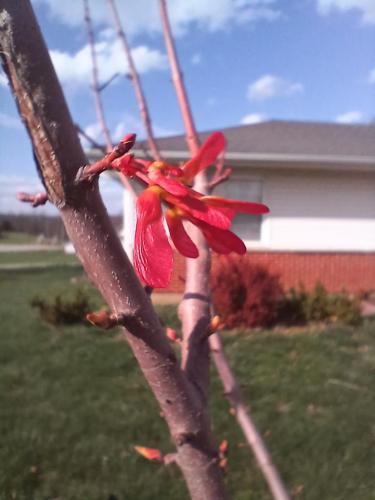 2127cb5f-2622-4f6c-b8cc-1227b6e25002