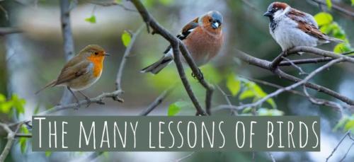 14b6f7e1-214d-4956-9f47-40021b1e384f