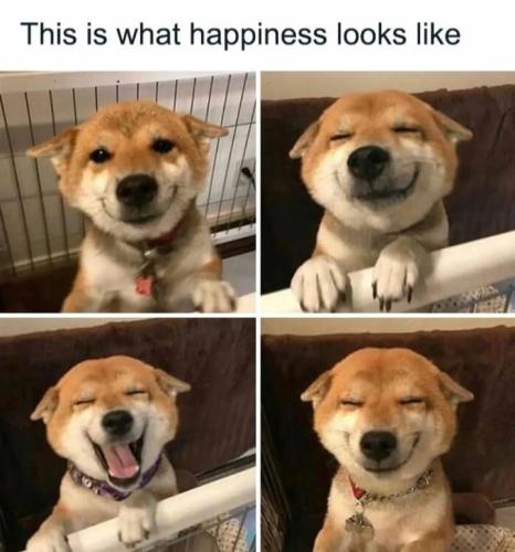 this-is-happiness-looks-like