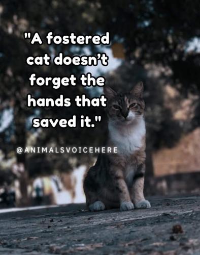 FB_IMG_1740534050507