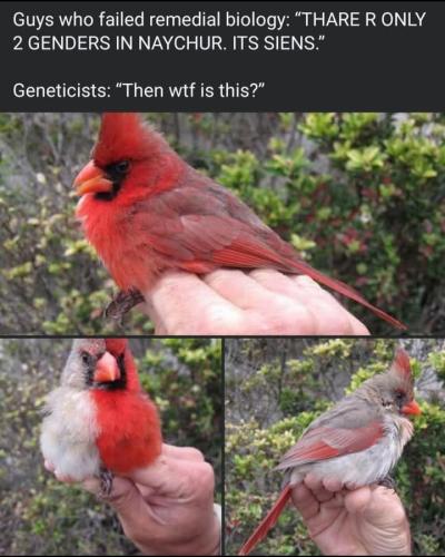 FB_IMG_1743881568669