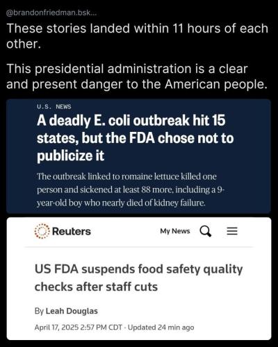 FB_IMG_1745164671634