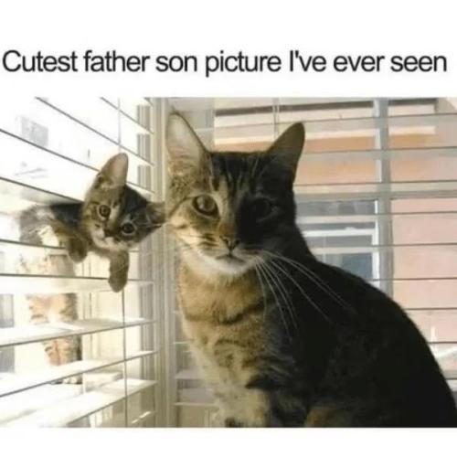 8cd36574ec7649fcd996df6b5a2d6a05