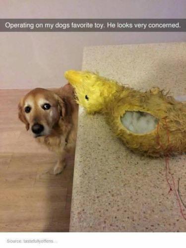 FB_IMG_1743800500768