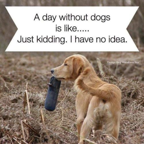 6564e3ab7a78e1affe9ea2d5f776102e