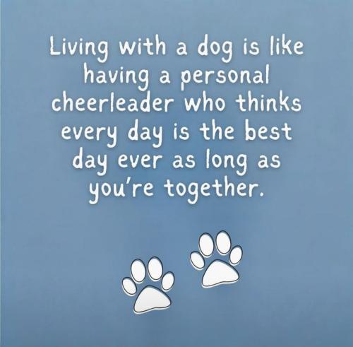 0c1a8f85da36d6fba4873ba522b48075