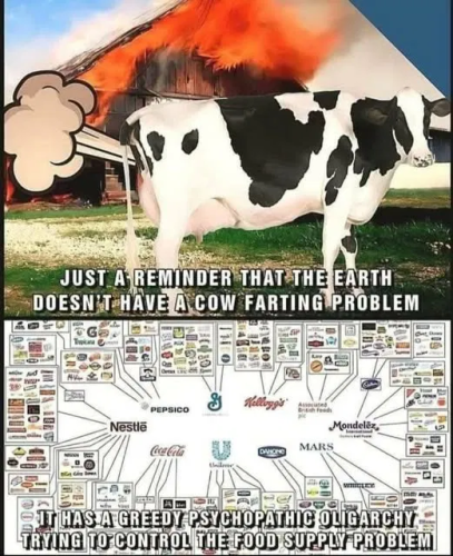 image_2025-04-11_065305043