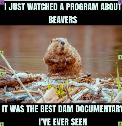 5893040A-748A-4075-854D-335FFF35172A