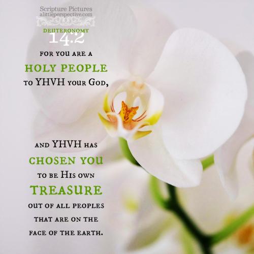 deu-14-2-HBE-unsplash