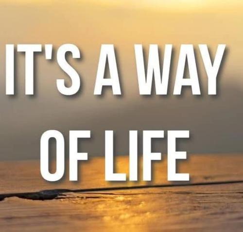 7d8f2a4d-c284-469a-8f4e-f97f5491f81b