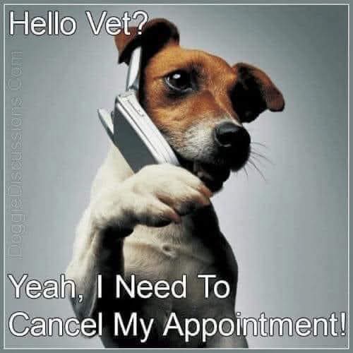 FB_IMG_1745184458910