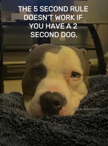 FB_IMG_1745369607442