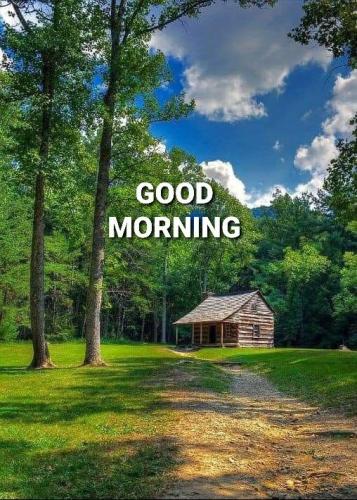 good-morning-spring 11