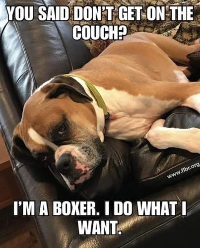 FB_IMG_1743673813424