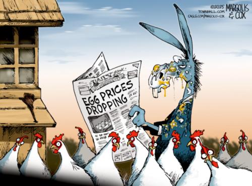 82b62633-0169-42cb-872c-dba12cfb6c1b_1672x1236