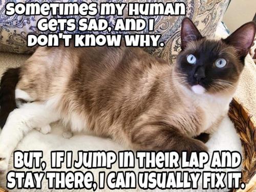 e6deba6335c074b85271ca9982c88ec7