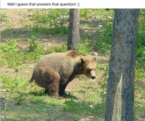 638AA5C0-2A0C-443D-A6D9-733CC99F465B