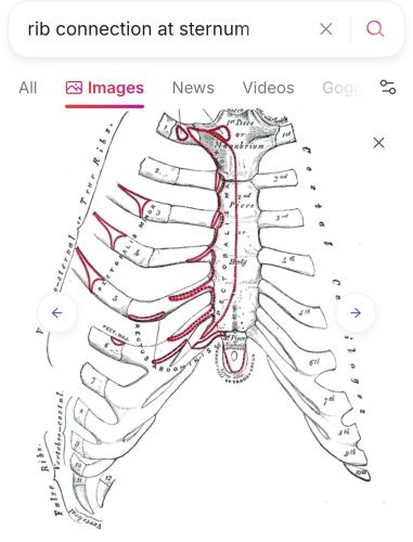 Screenshot_20250417-034700_Brave