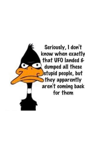 FB_IMG_1745775471375