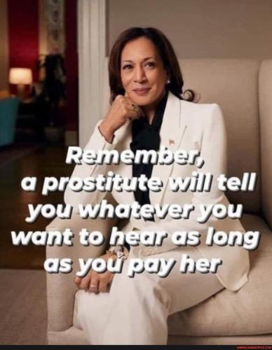 b5910564742b3c9adcdaac5c6333759ea3227ddce7bc941ba6be42cdc7724d0d_1