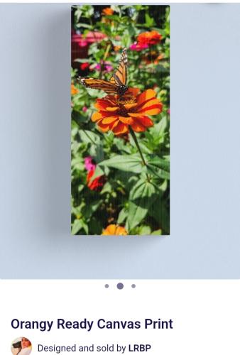 Screenshot_20250424_140136_Brave