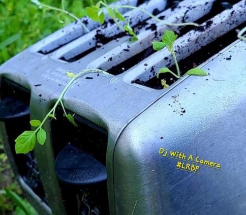 Screenshot_20250419_061957_Gallery