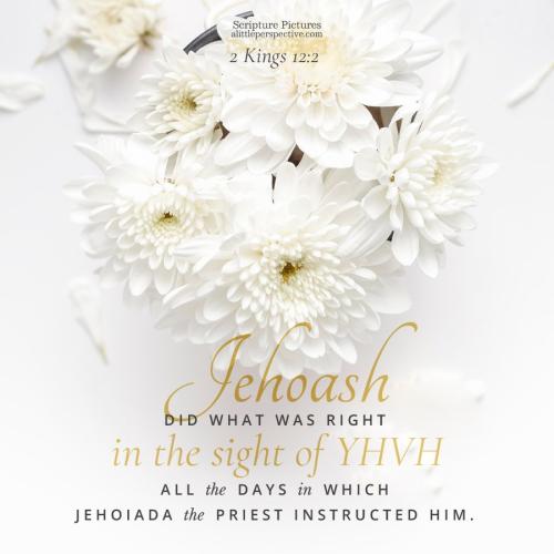 2-kin-12-2-NKJV-unsplash