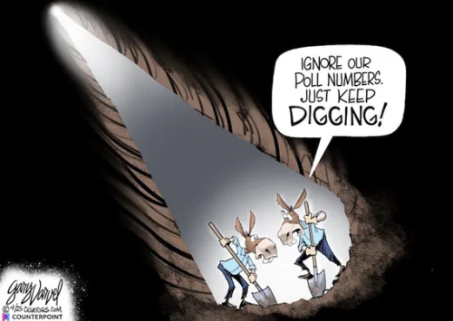 image_2025-04-24_063946946