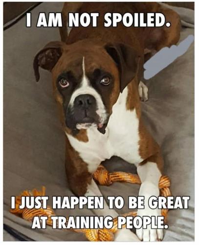 FB_IMG_1743628930952