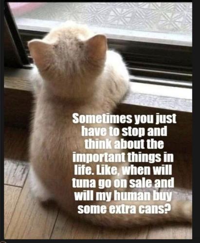 762e99c931d7dd15095b49b2dbb726e2